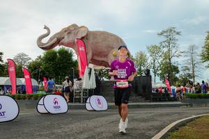 BIB: 
                            <button type="button" onclick="openModal(26529108)" class="btn btn-primary btn-sm float-right btn-popup" data-toggle="modal" data-target=".modal-high-quality">
                        <i class="fas fa-shopping-cart"></i> Add to Cart
                    </button>
                                            <button type="button" onclick="isThisMe(26529108, true)" class="btn btn-success btn-sm float-right btn-popup btn-isme hidden" data-toggle="tooltip" data-placement="bottom" title="นี่คือรูปของคุณใช่ไหม คลิกที่นี่เพื่อเอาเข้าอัลบั้ม">
                        <i class="fas fa-plus"></i> Add to album
                    </button>
                    <button type="button" onclick="isThisMe(26529108, false)" class="btn btn-warning btn-sm float-right btn-popup btn-isnotme hidden">
                        <i class="fas fa-ban"></i> Remove from album
                    </button>